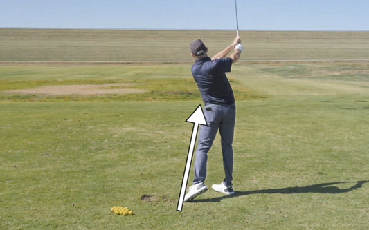 A Great Drill for Training Your Trail Leg